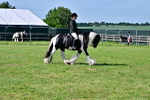 SBM_09351