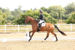SBM_005210