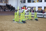 SBM_004028