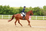 SBM_005647