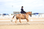 SBM_03417