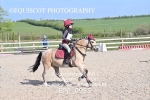 BPP_0955