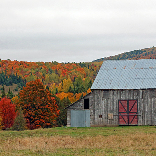 Autumn in New Brunswick Canada