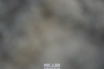 230909-190542-08466
