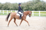 SBM_006580