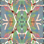 Experimenting with leaves