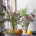 20th Sept Harvest Fest...