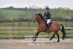 BPP_4175