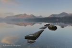 November Reflections