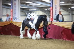 SBM_14941