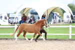SBM_05831