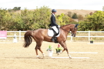SBM_010119