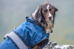 Matterdale-449
