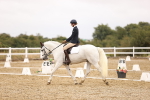 SBM_003213