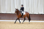 SBM_001333