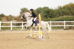 SBM_008008