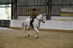 Class 15 Ridden Show Horse portfolio