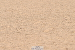 240509A-095521-00716