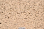 240509A-121334-01691