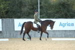 SBM_31128