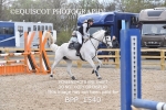 BPP_1540