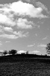 Primrose Hill