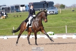 Cls 16 Premier League FEI Grand Prix portfolio