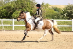 SBM_000393