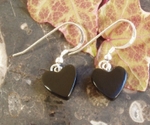 Whitby Jet Earrings je017