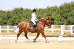 SBM_004127