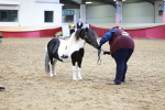 SBM_17328