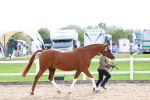SBM_04452
