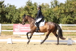 SBM_006735