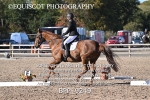 BPP_9249