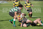 St Jacques v Tottonians-8