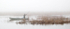 PUNT -LONG POINT MARSH