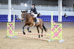 Class 3 - 60cm showjumping portfolio