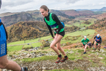 Stybarrow Dodd-350