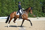 256-ALS_RUSSIAN_ROLEX-Jemima_Howden-WEDTrotUp+DR portfolio