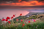 z3464 Summer Sunset overlooking the Islands West Coast