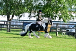 SBM_11611