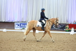 SBM_000731