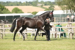 SBM_09085