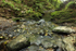 Dartmoor _ DR 004