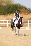 SBM_018293