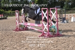 BPP_4331
