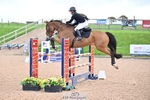 Cls 15 Foxhunter and 1.20m portfolio