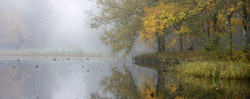 #11  Donadea Lake IV