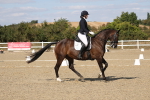 SBM_022568