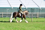 SBM_11385